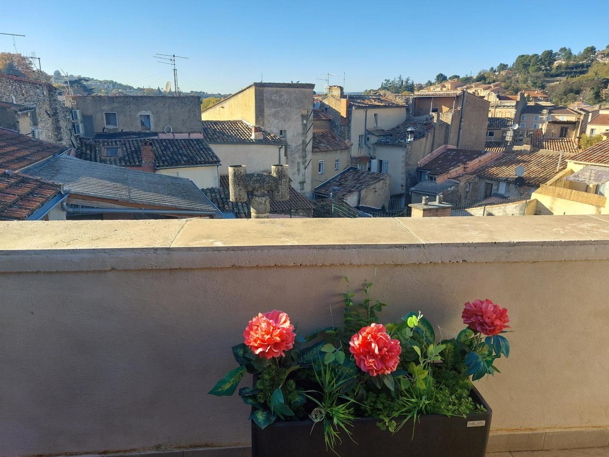 Cote Terrasse Apartment Apt Bagian luar foto